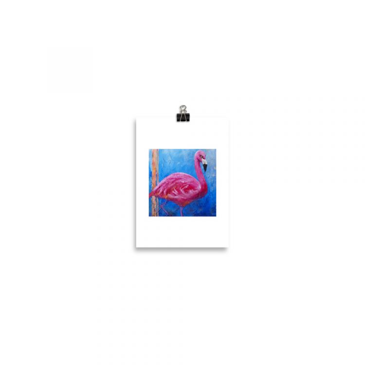 Print – American Flamingo: Pink Ladies of Florida