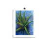 Print - Aloe Vera