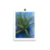 Print - Aloe Vera