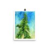 Print - Italian Basil