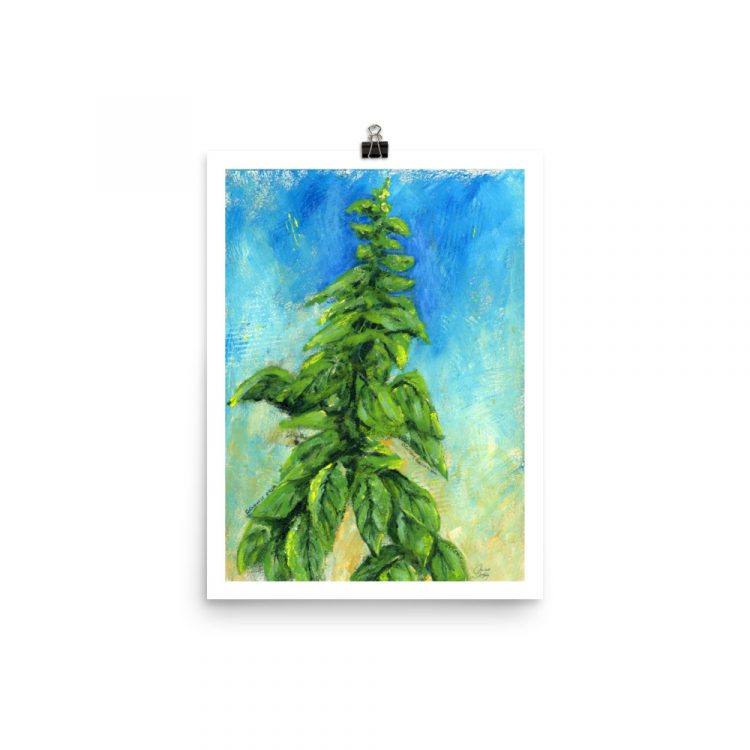 Print - Italian Basil