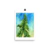 Print - Italian Basil