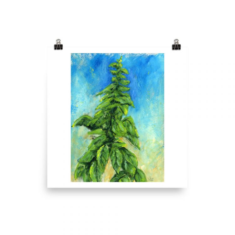 Print - Italian Basil