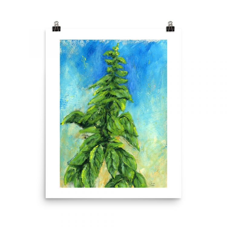 Print - Italian Basil