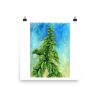 Print - Italian Basil
