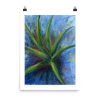 Print - Aloe Vera