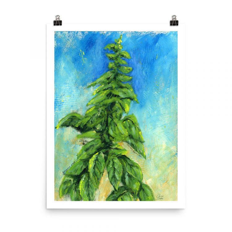 Print - Italian Basil