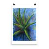 Print - Aloe Vera