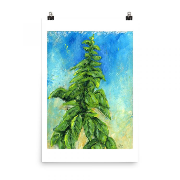 Print - Italian Basil