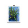 Print - Aloe Vera