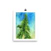 Print - Italian Basil
