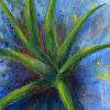 2024003web Aloe Vera
