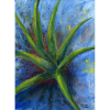 2024003woo Aloe Vera