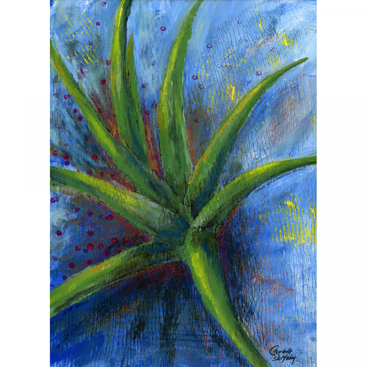 2024003woo Aloe Vera