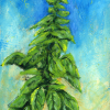 2024004web painting of italian basil