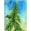 2024004woo Italian Basil