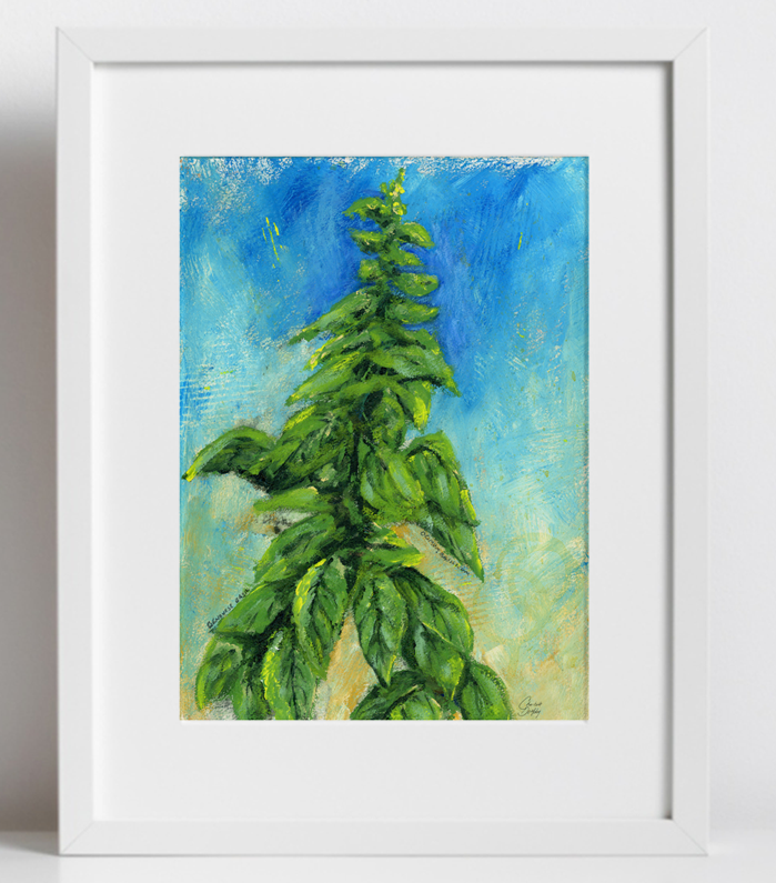 Italian Basil, print