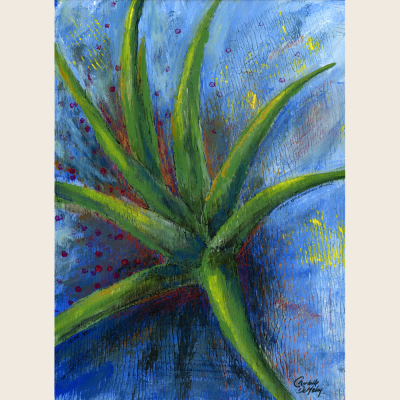 Aloe Vera