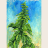 Italian Basil