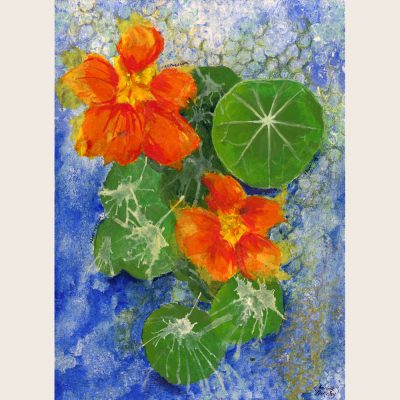 Nasturtium
