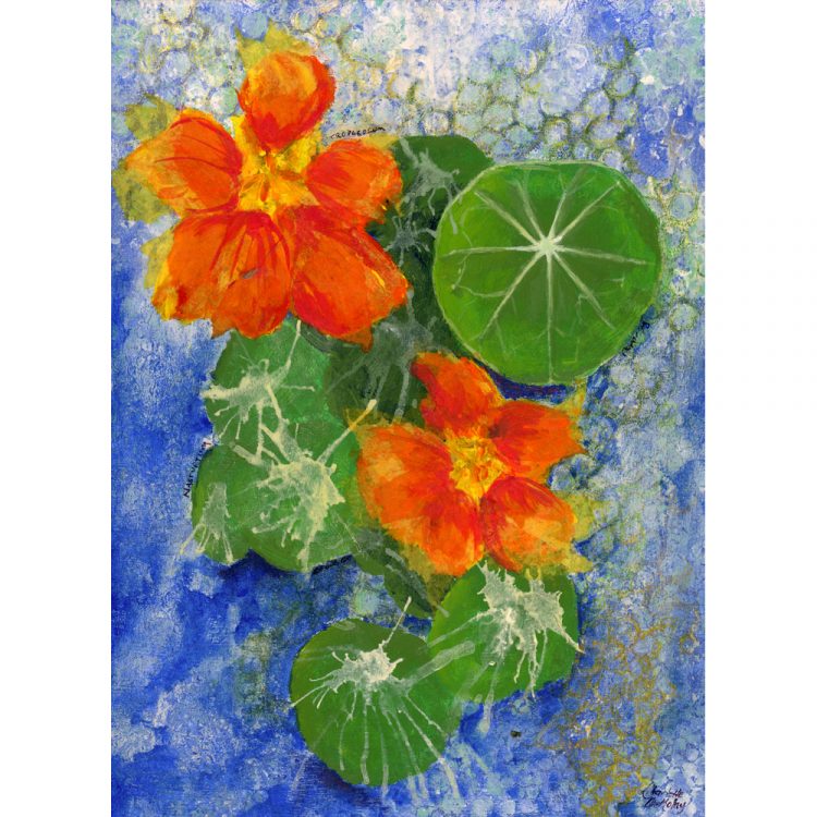 nasturtium