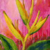 heliconia