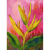Heliconia