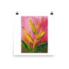 Print - Heliconia