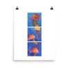 Print - Dancing Jellies