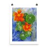 enhanced-matte-paper-poster-in-18x24-transparent-66da5ae169a52.jpg Print - Nasturtium