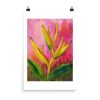 Print - Heliconia