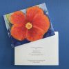 Tropical Brights | Notecards