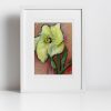 Frame Mockups - 12 okra print in frame
