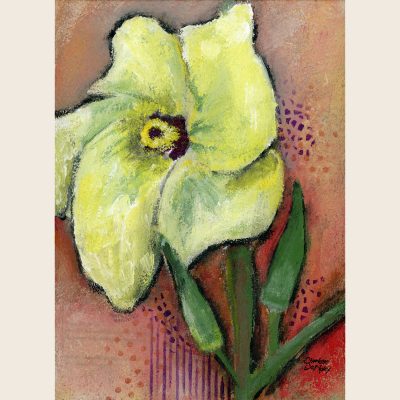 Okra