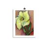enhanced-matte-paper-poster-in-11x14-transparent-681932a57a2c3.jpg Print - Okra