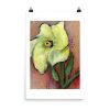 enhanced-matte-paper-poster-in-24x36-transparent-681932a57a97a.jpg Print - Okra