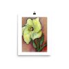 enhanced-matte-paper-poster-in-8x10-transparent-681932a57aac3.jpg Print - Okra