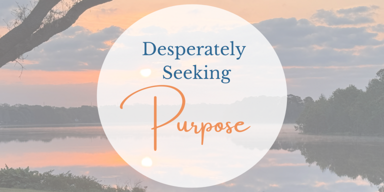 blog post header desperately seeking purpose