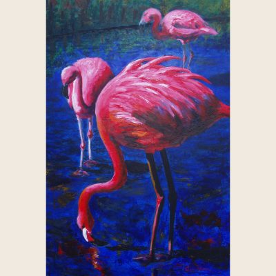 Playing with Pink