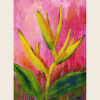 Heliconia