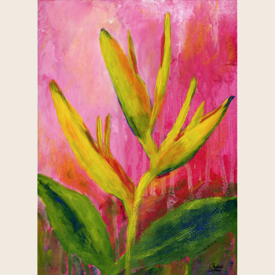 Heliconia