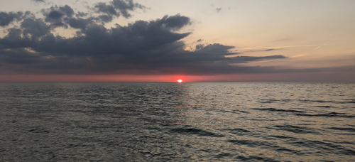 Gulf Sunsets