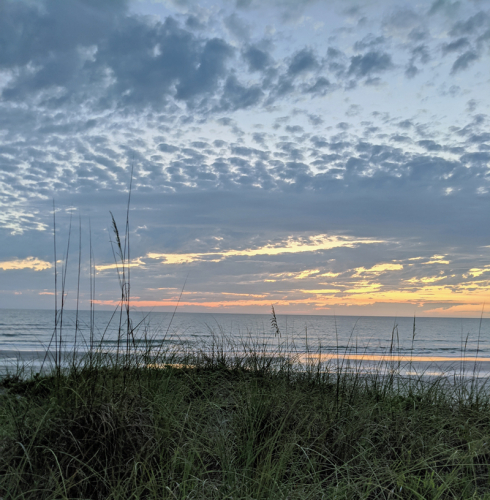 Gulf Sunsets